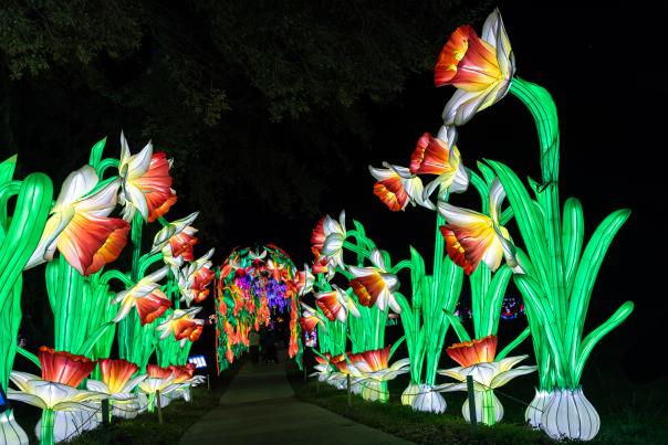 Light displays at the Gulf Coast Chinese Lantern Festival at Bellingrath