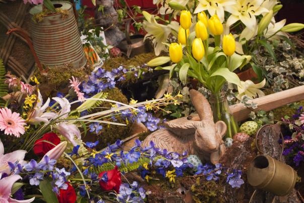 Festival of Flowers - 2010