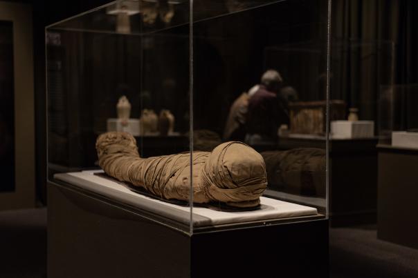 Mummy in a glass case