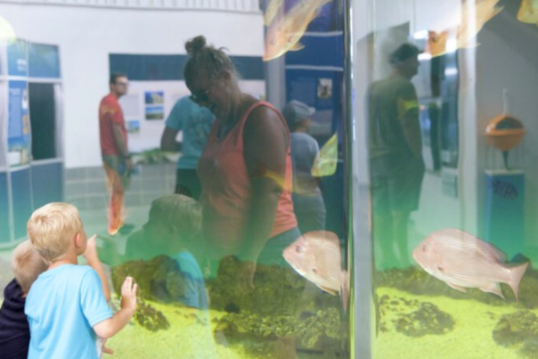children looking in an aquarium of fish