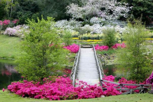 BELLINGRATH GARDENS