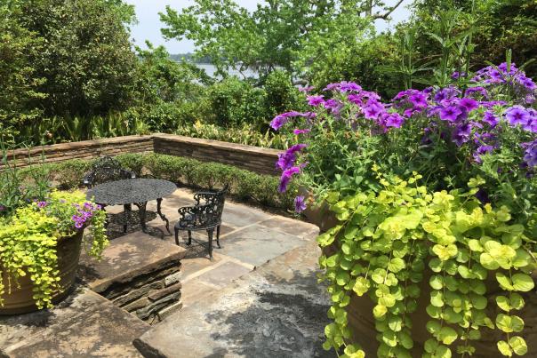 Summer plants and flowers at Bellingrath Gardens