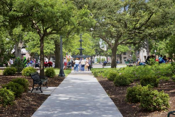 Looking into Bienville Square with oak trees, plants and park benches