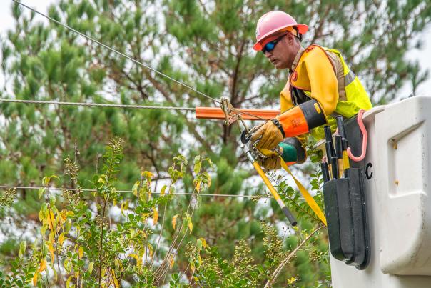 a man fixing a powerline in mobile alabama