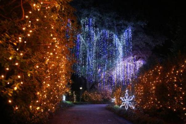 Magic Christmas In Lights