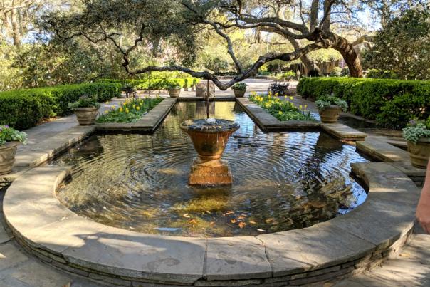 fountain and pond surrounded by plants and trees
