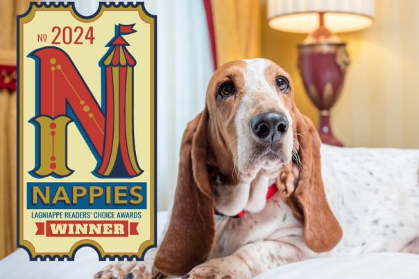 Dog sitting on bed with text: 2024 Nappies Winner