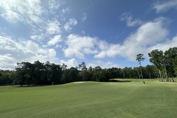 Golfers stand a distance away on a golf green with blue sky, white clouds and pine trees