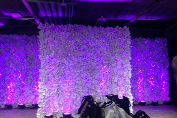 ruffled, backlit walls