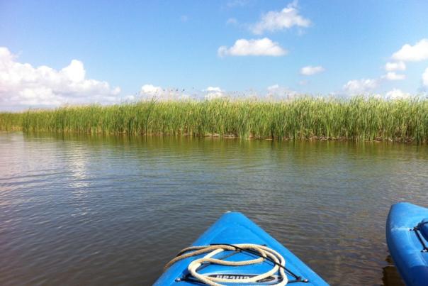 a kayak in serene waters in mobile alabama