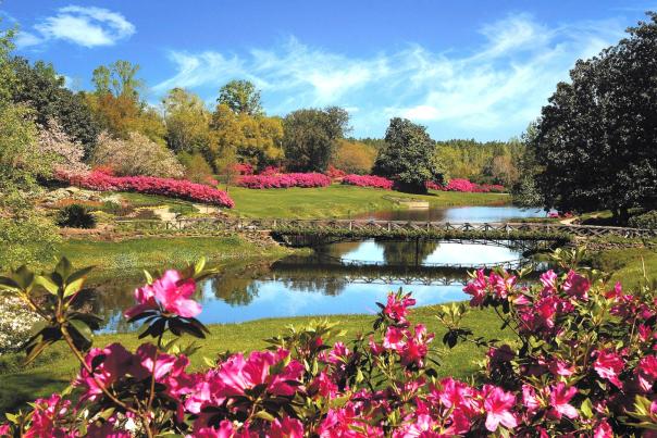 bridge over water with blooming azaleas