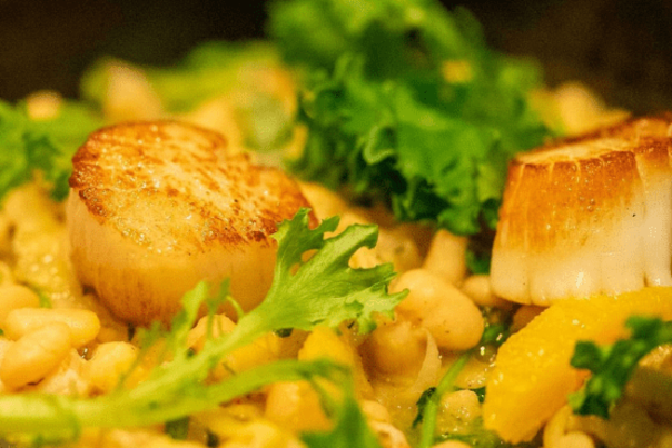 Clos_Scallops_564x370