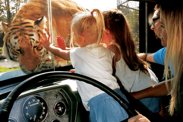 Zoo_FamilyAdventures1_564x370