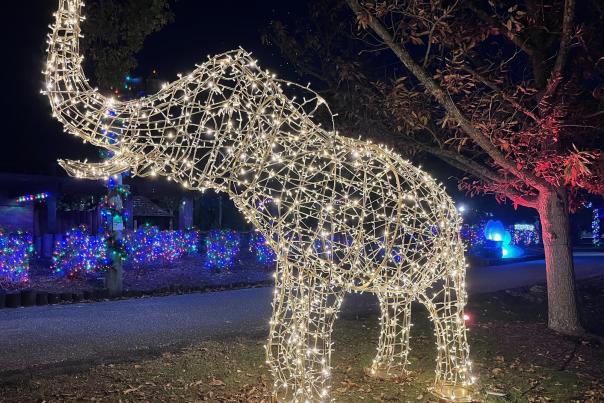 Montgomery Zoo Christmas Lights Festival