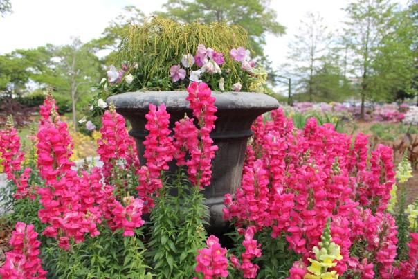 Montgomery Botanical Gardens at Oak Park