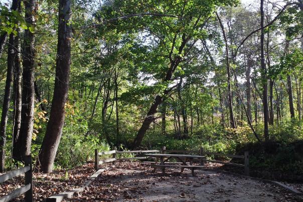Natural picnic area at Burkhart Creek Park