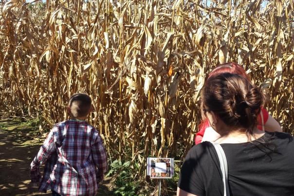 Marauder's Maze at Greendell Lanscape Solutions