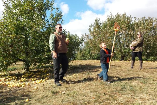 Apple Picking at Anderson Orchard