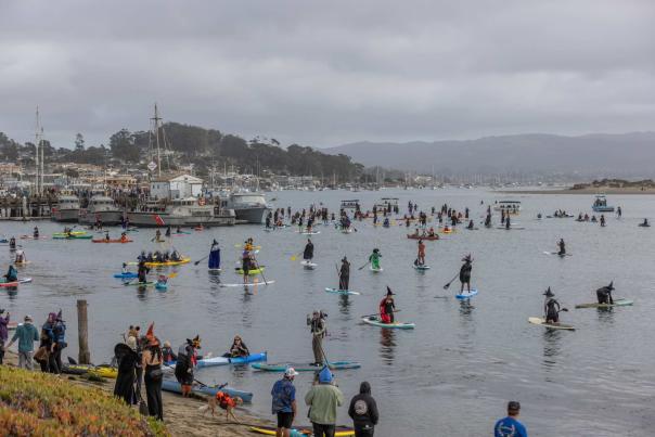 10 Famous Witches & Warlocks Ranked by Paddleboarding Ability