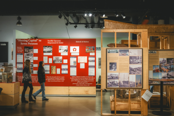 history museum displays