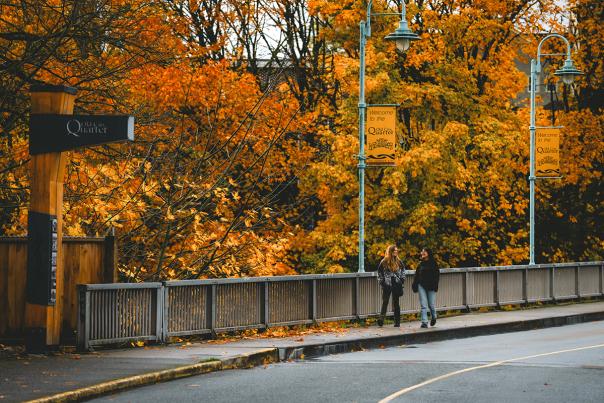 Two people walking along a bridge lined with bright autumn trees.