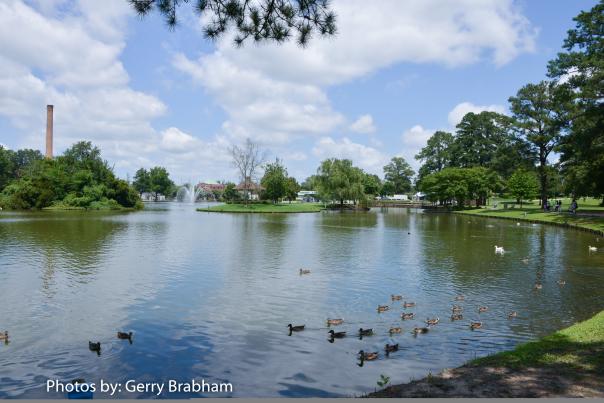 City Lake with Ducks