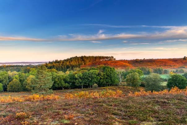 Autumn
