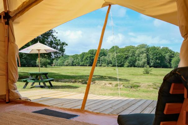 Camping New Forest - View from Glamping tent in the Summer
