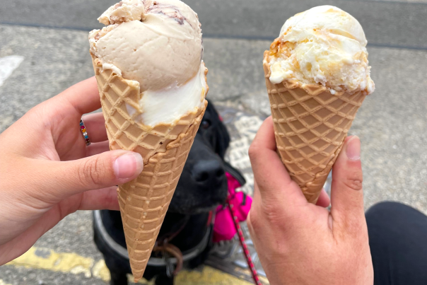 Ice Creams Blog - May 2023