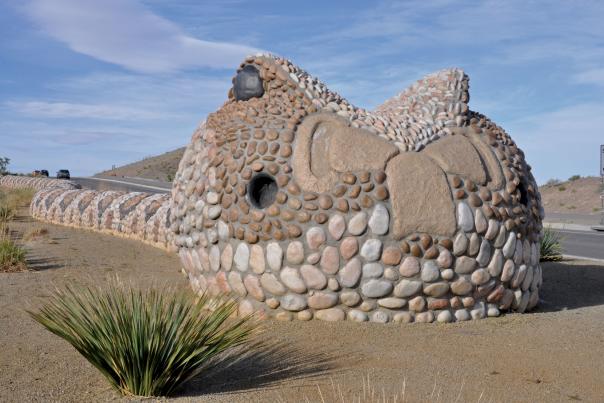 The Snakes of Mesa del Sol in Albuquerque