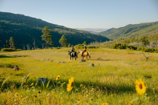 Two people on horses in a valley with a green meadow and wildflowers near Raton, New Mexico.