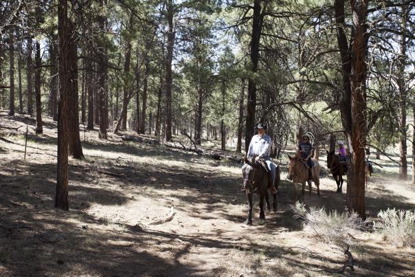 Horseback riding Taos