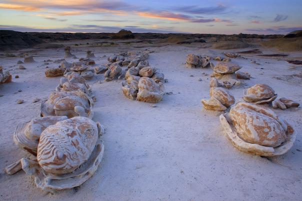 Bisti Badlands