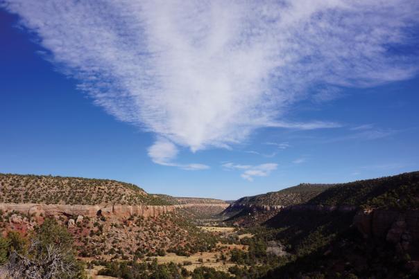 Largo Creek in the Sabinoso Wilderness