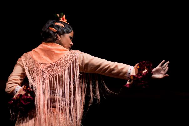 Festival Flamenco Internacional de Alburquerque