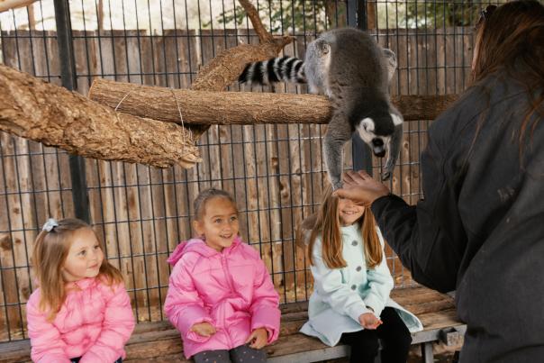 Clovis Hillcrest Park Zoo