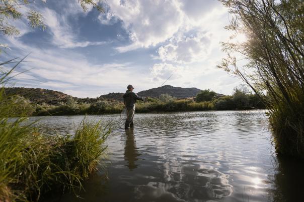 A man flyfishing in the San Juan River, south of Navajo Lake State Park, in northwest New Mexico.