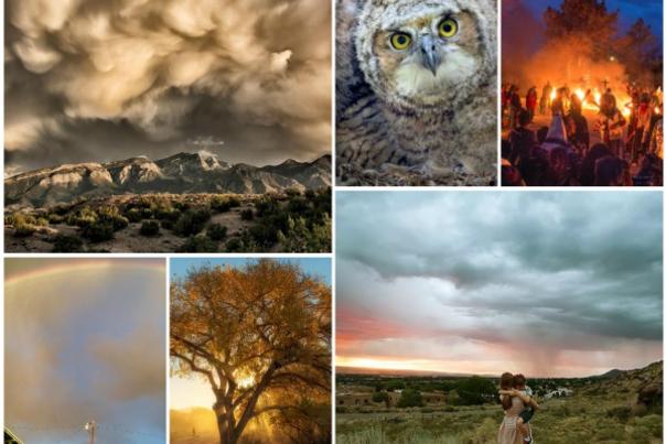 Photo collage of 2016 New Mexico Magazine winners
