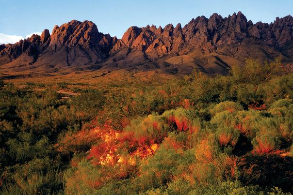 Organ Mountains