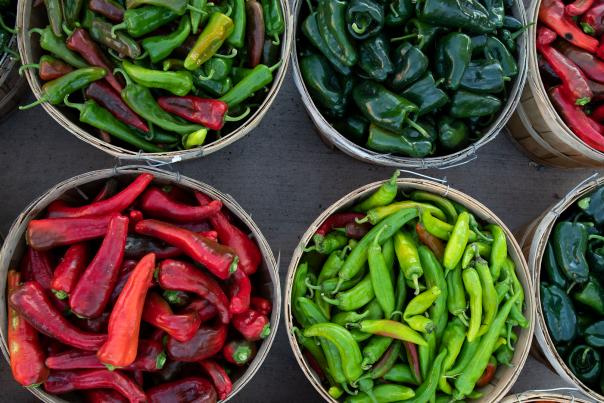 Pick A Pepper, Chile Varieties, New Mexico Magazine