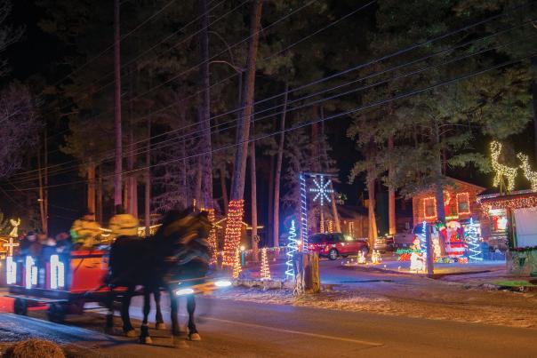 The massive steed pulling the Grindstone Stables sleighs.