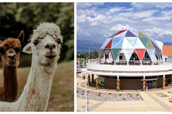 Weekend Round Up March 2020