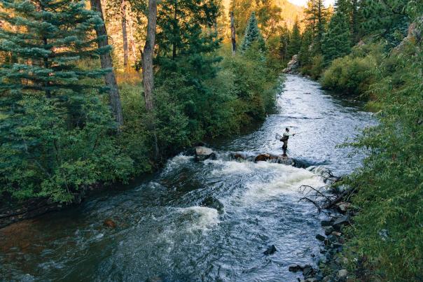 Norman Maktima fly-fishing in the Pecos River.