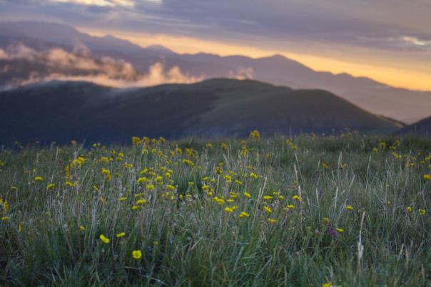 9 Tips from Locals on How to Spend Your Time in the Taos Ski Valley