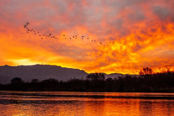 Sunrise on the Rio Grande