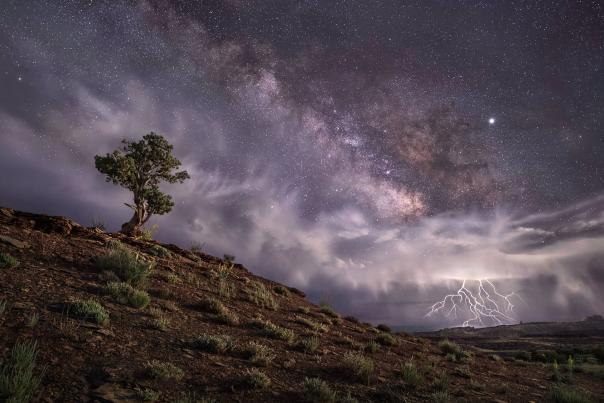 Wayne Suggs, The Wondrous Heavens