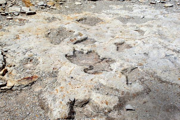 Clayton Lake Dinosaur Trackways