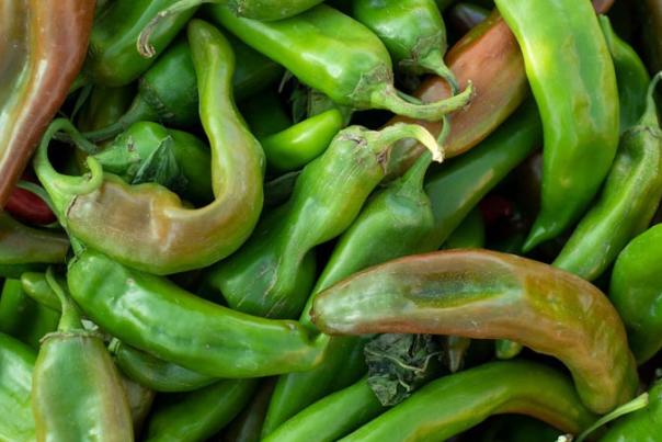 The Big Jim chile variety is notable for its size and heat, a statewide favorite for chiles rellenos, New Mexico Magazine
