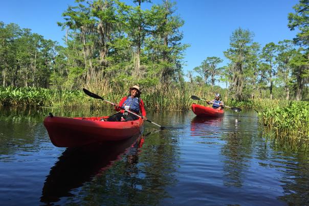 A New Orleans Kayak Swamp Tour