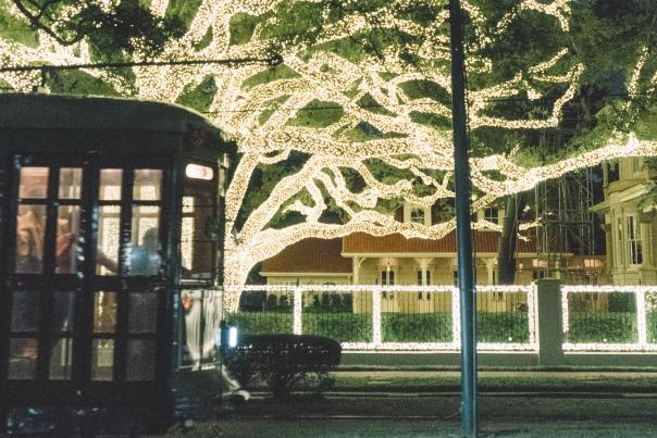 Christmas Lights on St. Charles Avenue